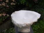 DSC04208