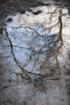 Annelies van der Drift
